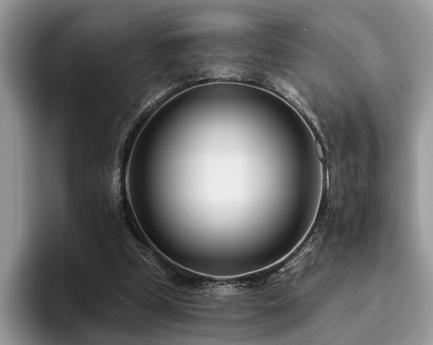 X0000096210249200801181436