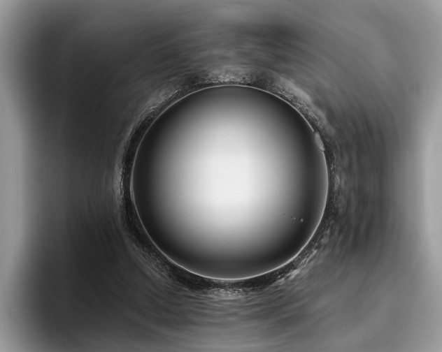 X0000096210250200801181436