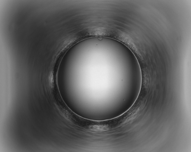 X0000096210251200801181436