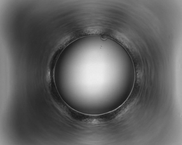 X0000096210254200801181436