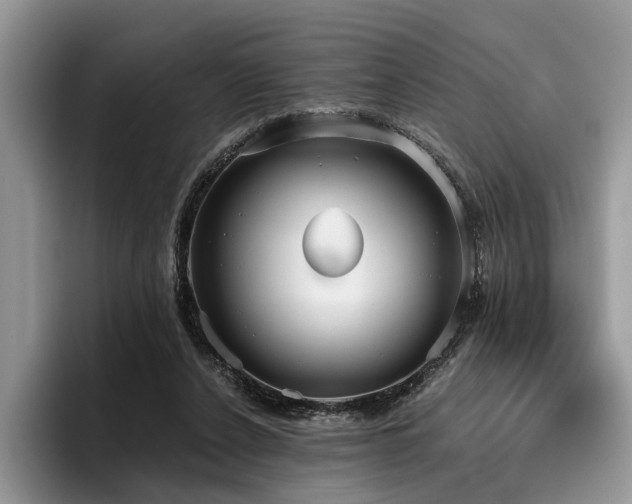 X0000096210256200801181436