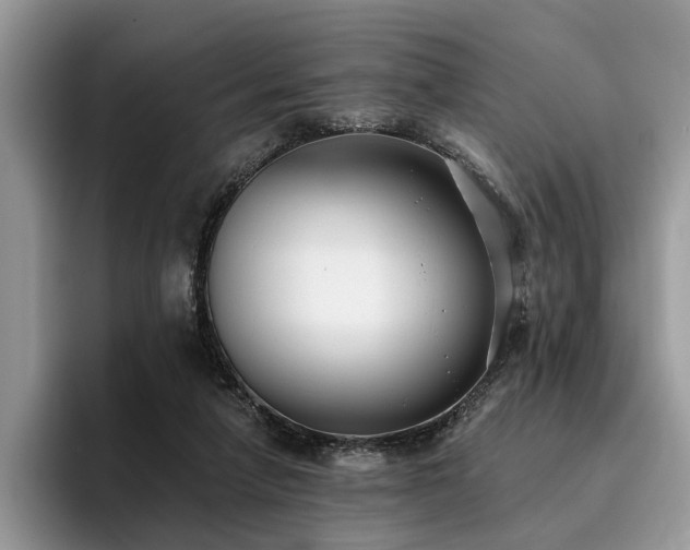 X0000096210258200801181436
