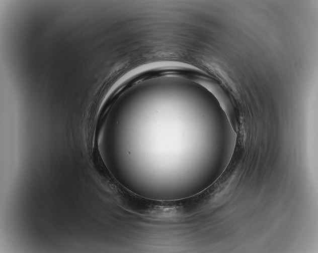 X0000096210260200801181436