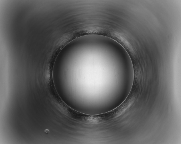 X0000096210261200801181436