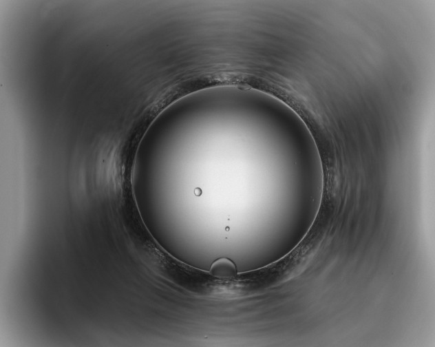 X0000096210263200801181436