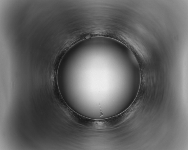 X0000096210265200801181436