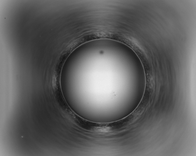 X0000096210266200801181436