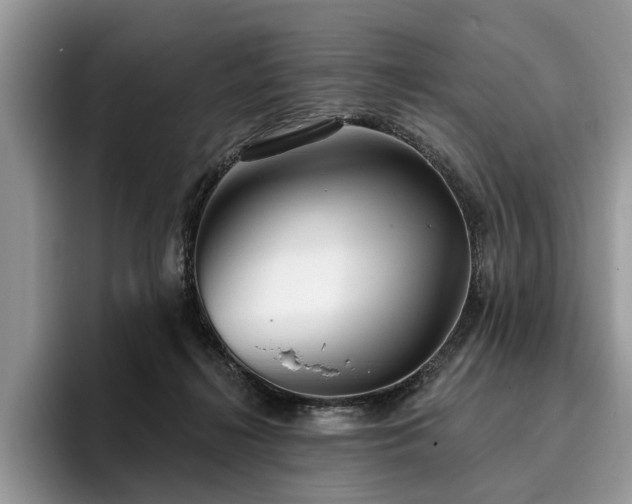 X0000096210268200801181436