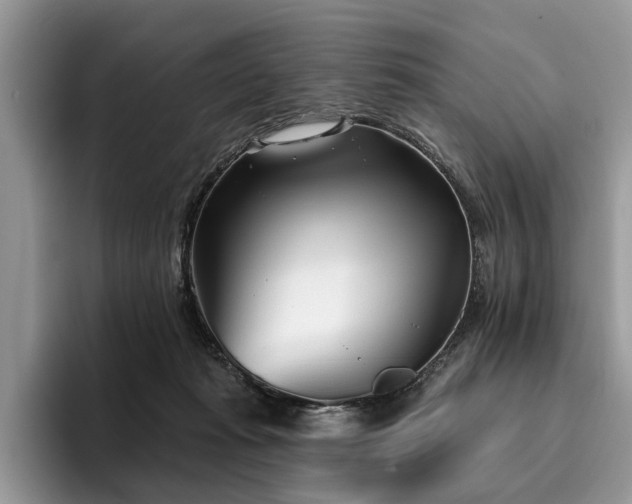 X0000096210269200801181436