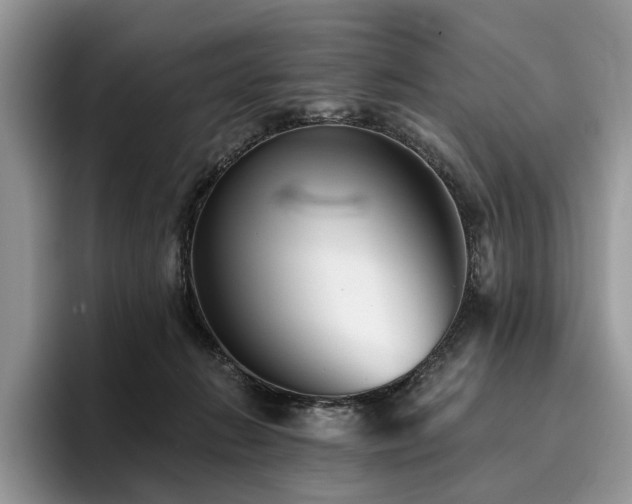 X0000096210270200801181436