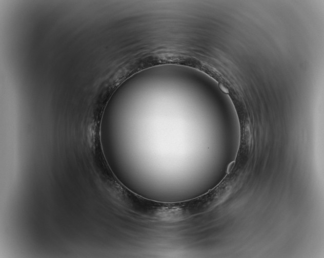 X0000096210271200801181436