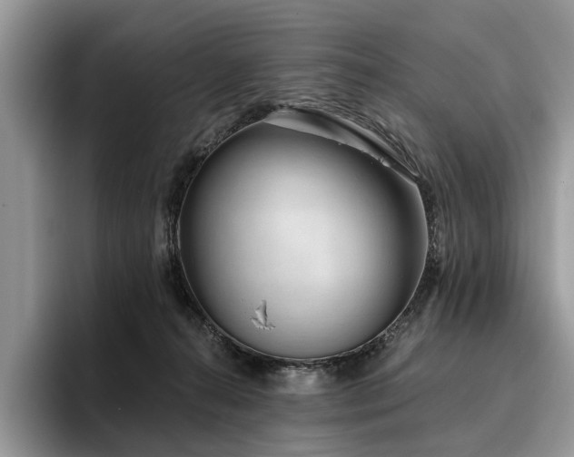 X0000096210272200801181436