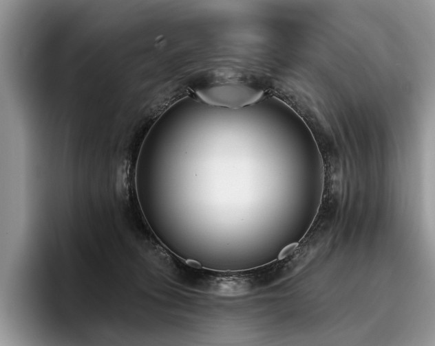X0000096210275200801181436