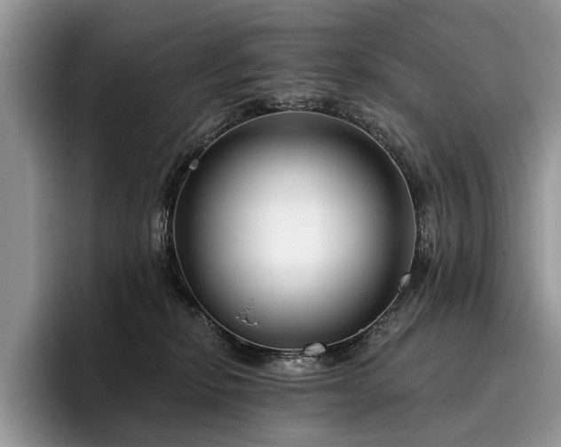 X0000096210278200801181436