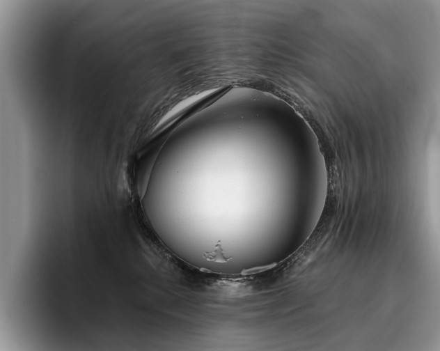 X0000096210280200801181436