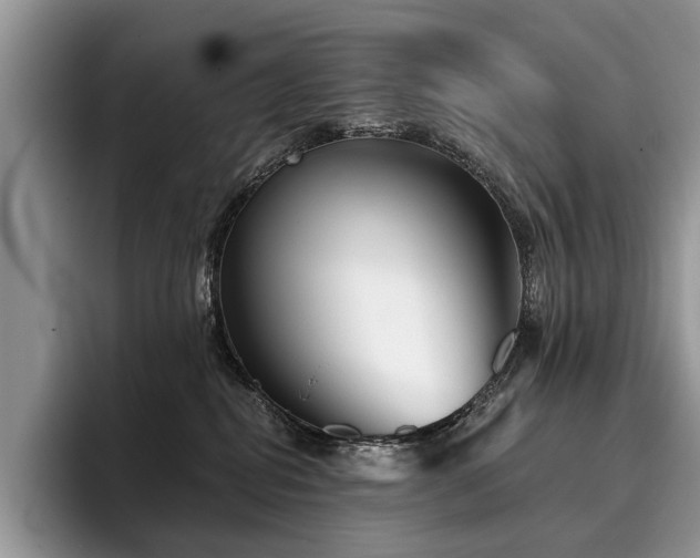 X0000096210282200801181436