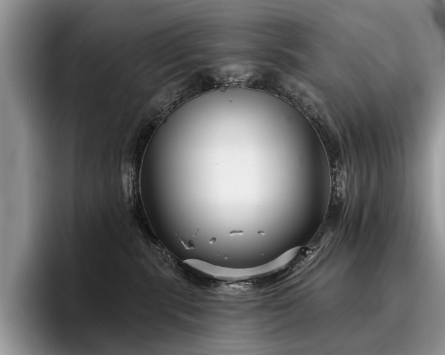 X0000096210283200801181436