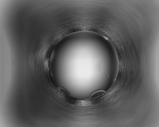 X0000096210286200801181436