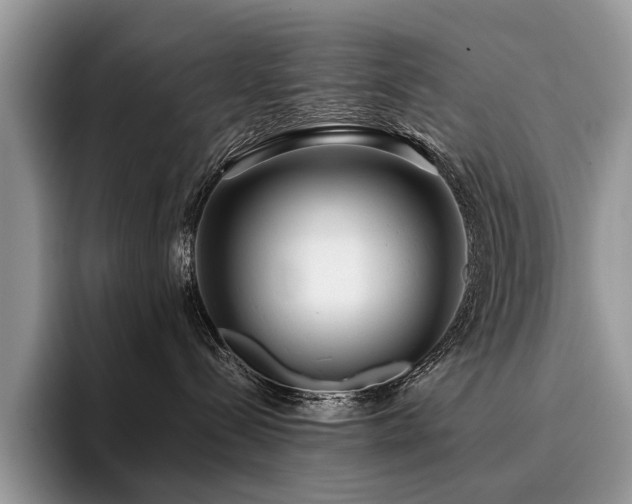 X0000096210288200801181436