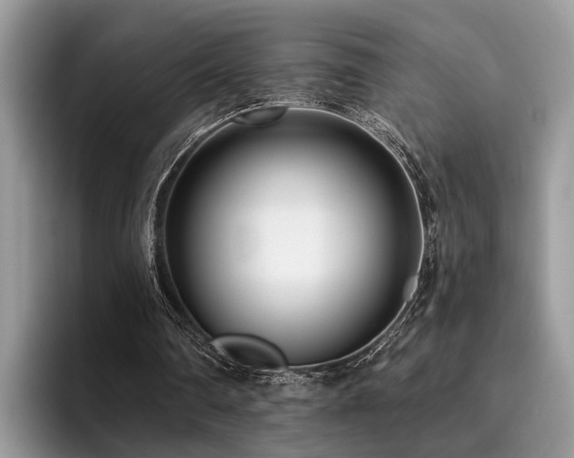 X0000096210290200801181436