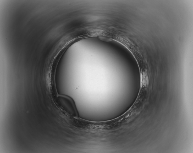 X0000096210291200801181436