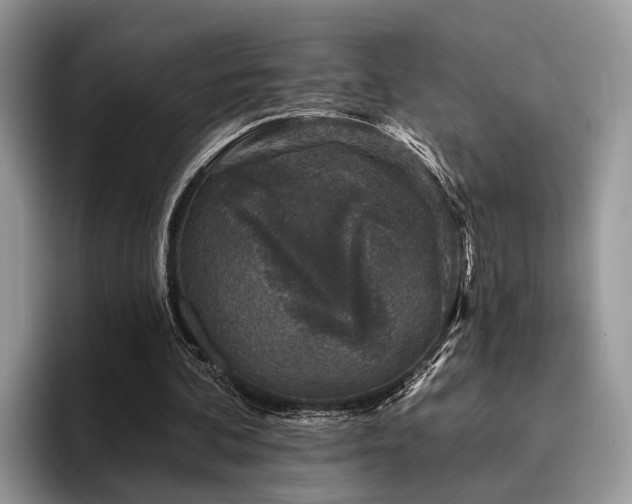 X0000096210292200801181436