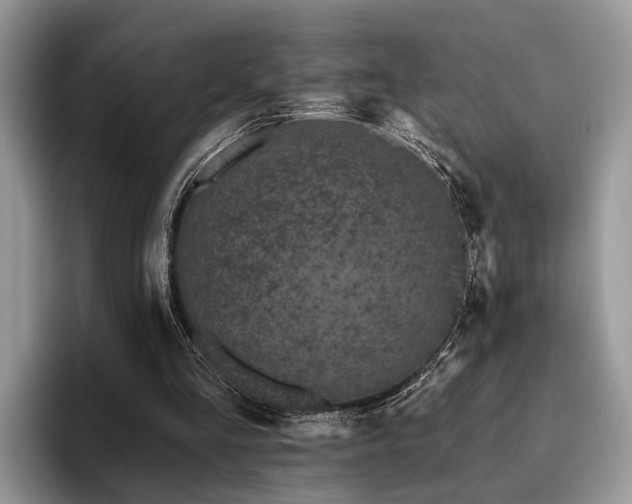 X0000096210293200801181436
