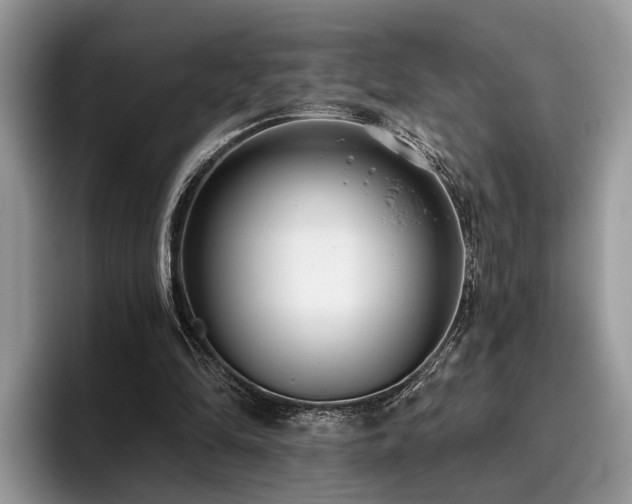 X0000096210294200801181436