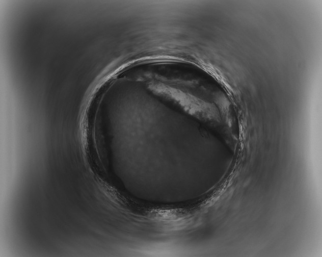 X0000096210295200801181436