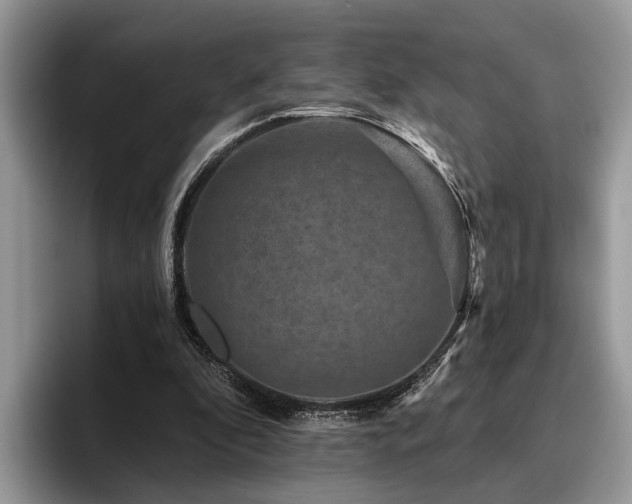 X0000096210296200801181436
