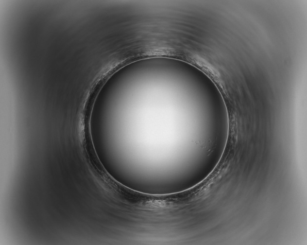 X0000096210298200801181436