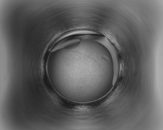 X0000096210300200801181436
