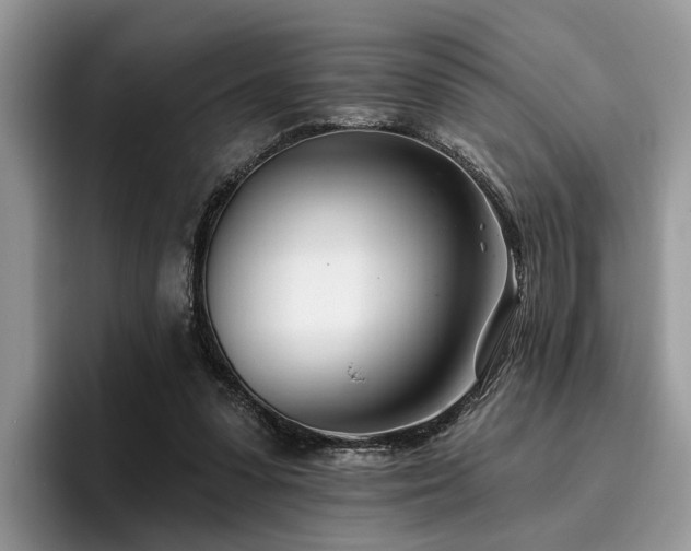 X0000096210303200801181436