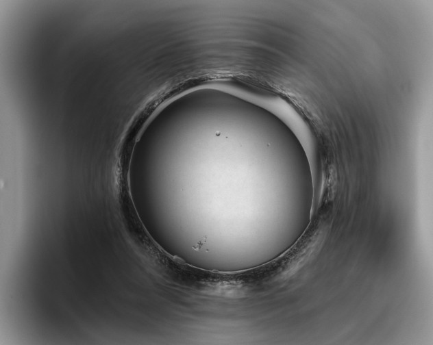 X0000096210304200801181436