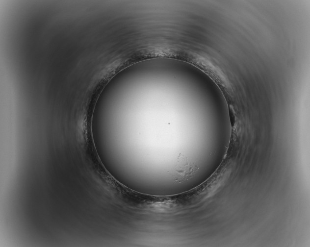 X0000096210306200801181436