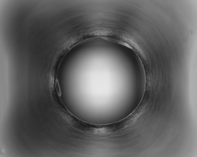 X0000096210309200801181435