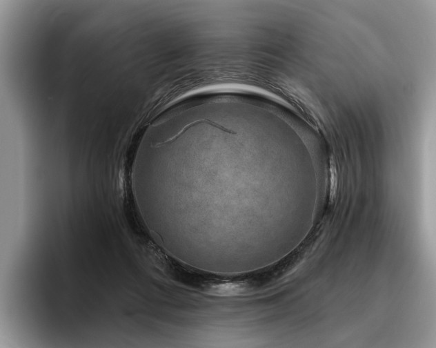 X0000096210312200801181435