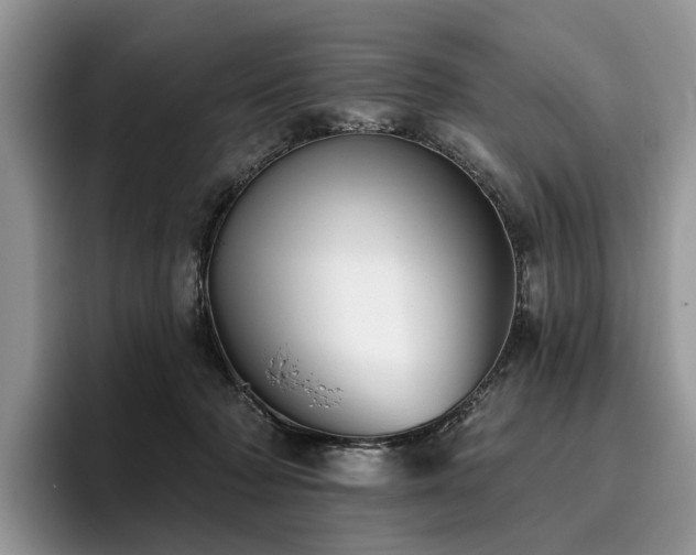 X0000096210318200801181435