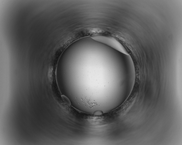 X0000096210319200801181435