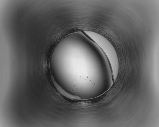 X0000096210320200801181435
