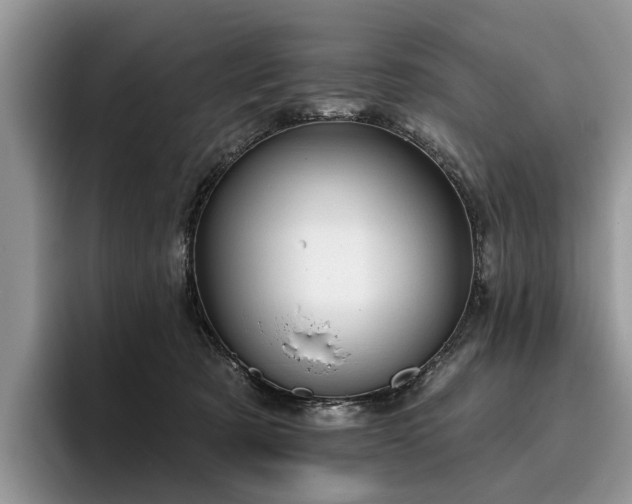 X0000096210321200801181435