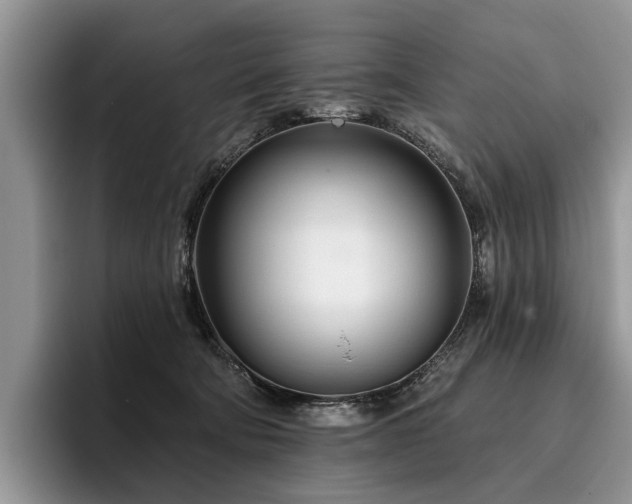 X0000096210322200801181435