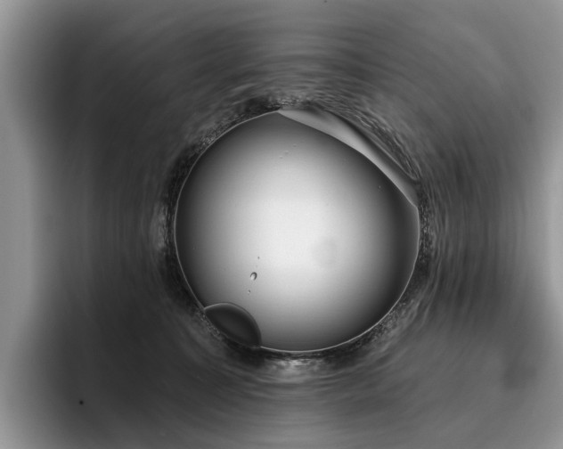 X0000096210323200801181435