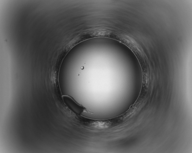 X0000096210326200801181435
