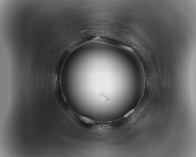 X0000096210327200801181435