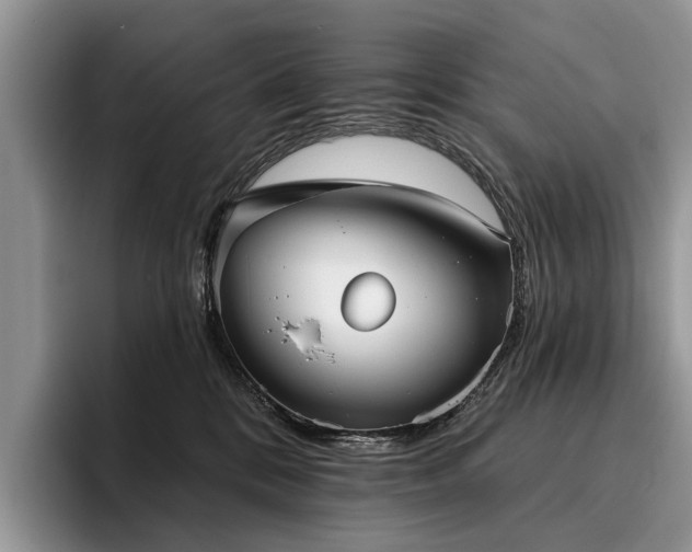 X0000096210328200801181435