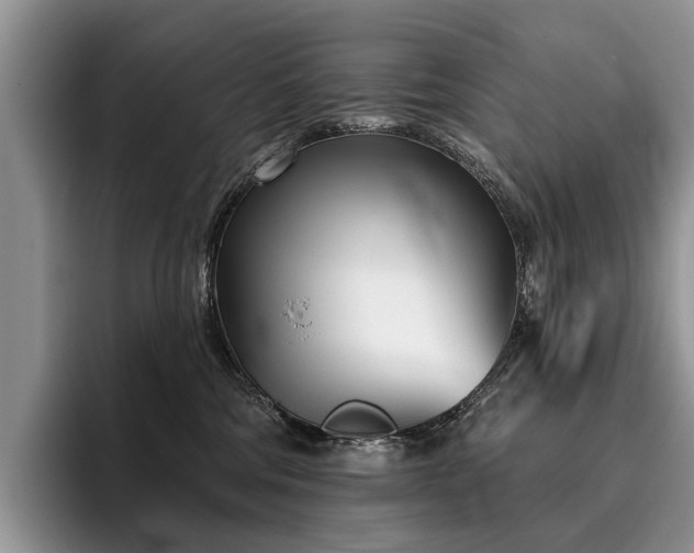 X0000096210330200801181435