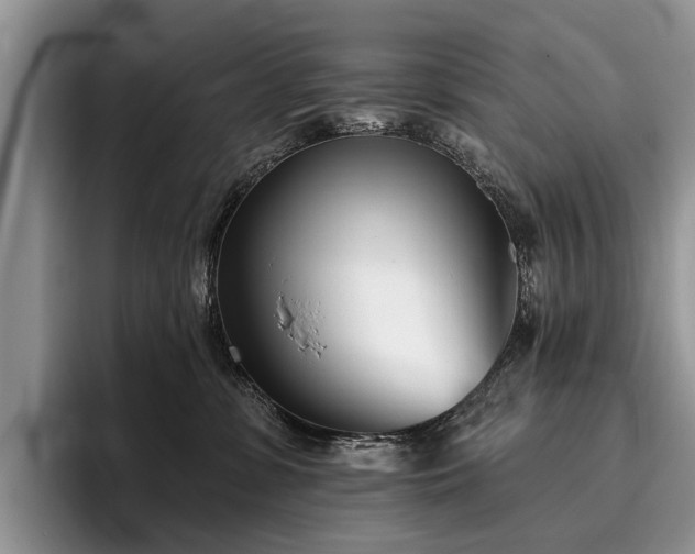 X0000096210331200801181435