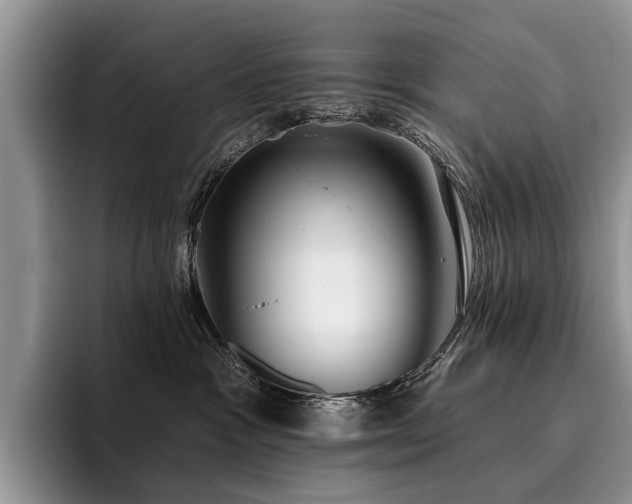 X0000096210333200801181435