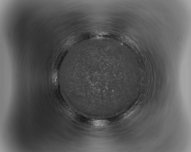 X0000096210336200801181435